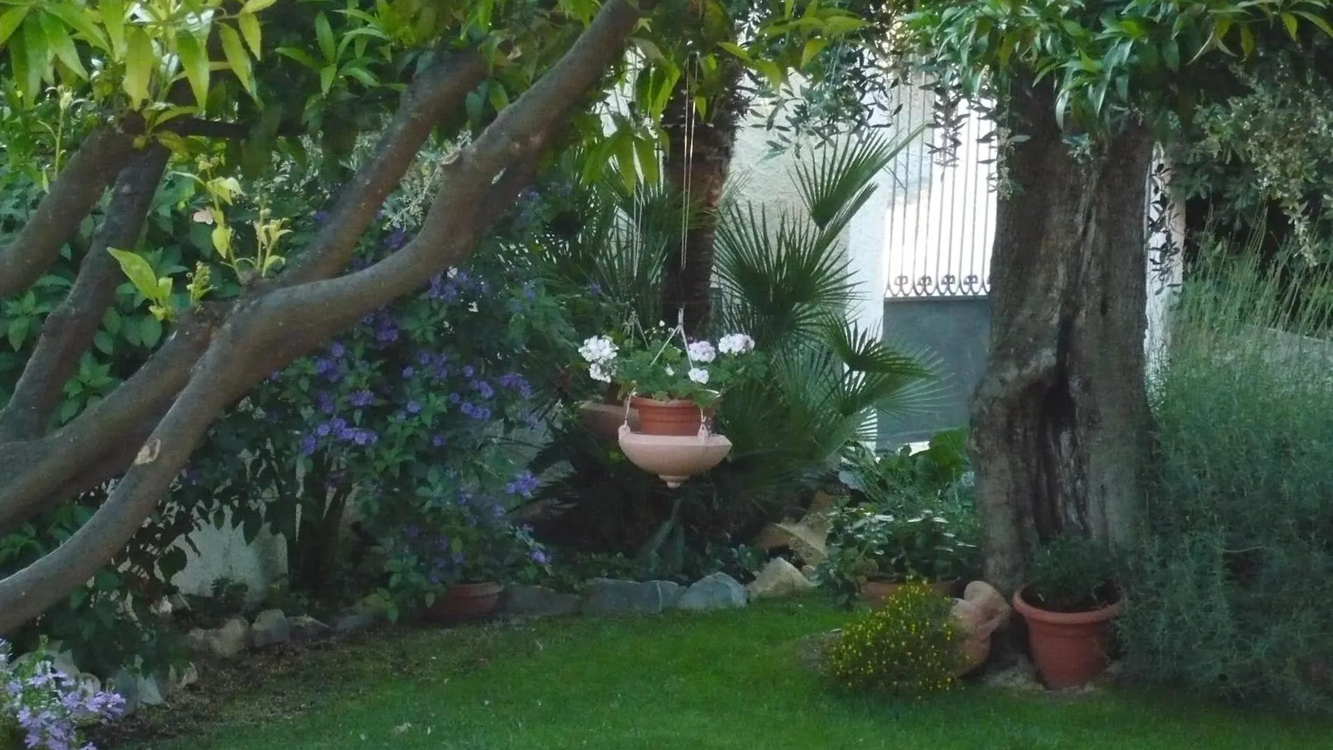 Alloggio per agriturismo Azienda Agrituristica Villa Arianna Imperia
