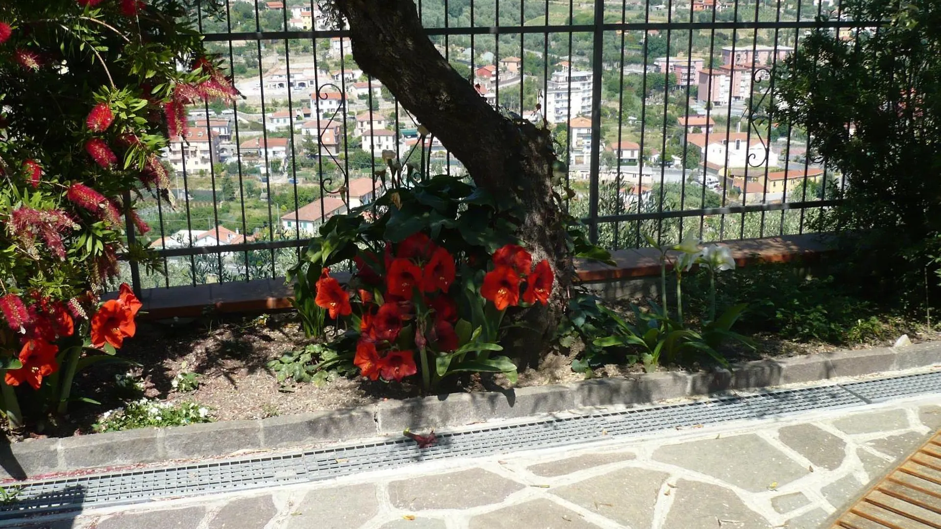 Azienda Agrituristica Villa Arianna Imperia Italia