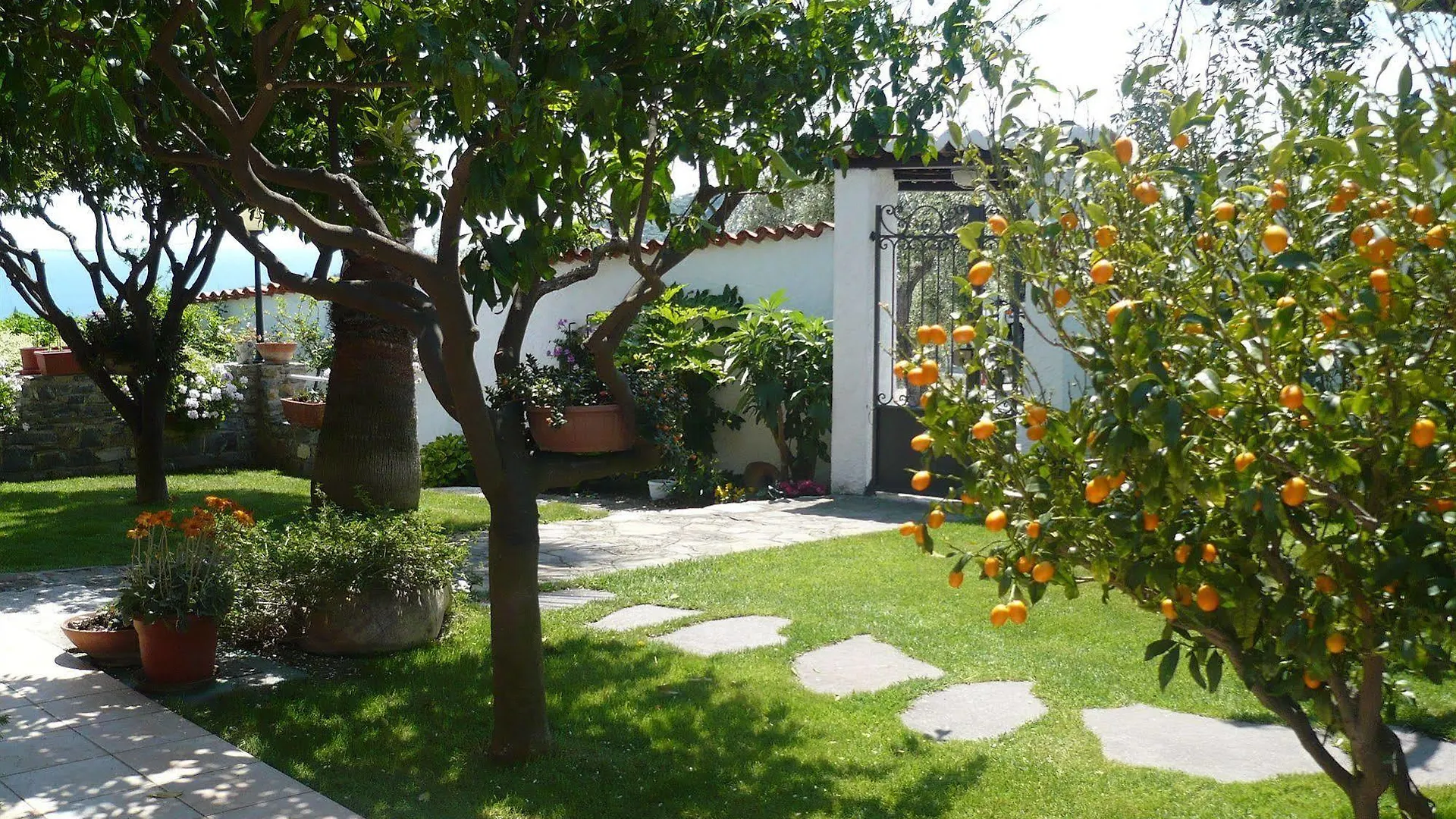 Azienda Agrituristica Villa Arianna Imperia